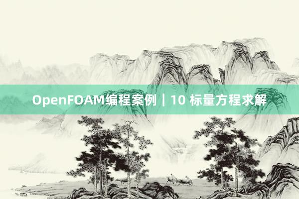 OpenFOAM编程案例｜10 标量方程求解